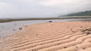 Shore