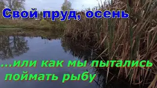 Свой пруд октябрь... или как мы пытались поймать рыбу. Часть 34 из серии 