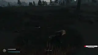 бро ты без головы.clip