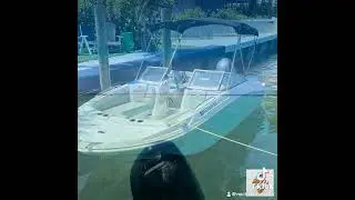 New Listing Boat Rental In Florida