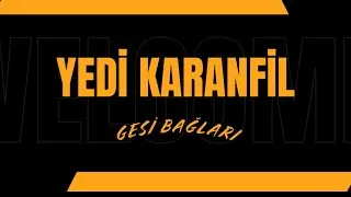 Yedi Karanfil - Gesi bağları