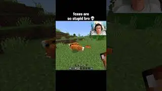 Minecraft Fox Moment
