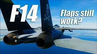 Back in the #F14 Tomcat First Time Since the Flap Update #DCS