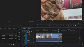 Adobe Premiere Pro | Changing Clips to Slow and Fast Motion