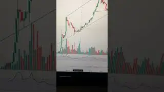 Куда пойдёт BTC в марте?!