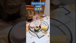 Поле чудес. New Tik Tok. Приколы Тик Ток лыба