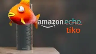 Introducing Amazon Tiko