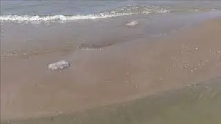 Курортное, о  Чокрак, бухта Рифов, Морской пехоты 02 07 24