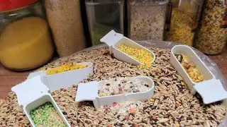Como manter aves saudáveis,tudo sobre alimentação e cuidados.