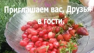 В Краснодаре уже лето.  У нас поспела клубника и черешня. Друзья, приглашаем вас в гости. Дети.