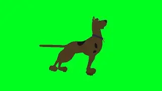 Scooby Doo dancing green screen