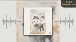 GASHI - Midnight Sun (Visualizer)