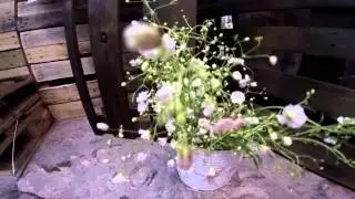 Expresa - EXPO BODA 2015
