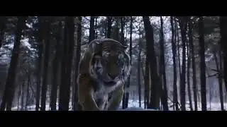 Очень хорошая видео советую посмотреть