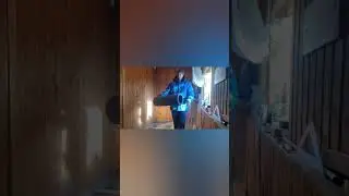 мыши в дом не пройдут