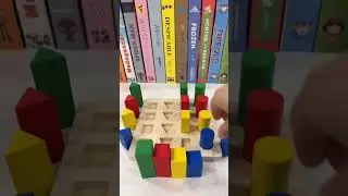 Montessori Rainbow Early Learning  Sensory Teaching Toys / Montessori Educational Building Blocks