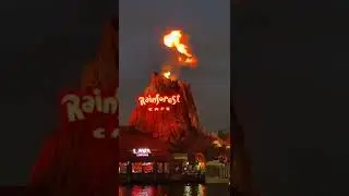 Saving the rainforest by flaring natural gas (Disney Springs)
