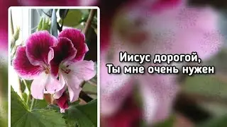 Иисус дорогой, Ты мне очень нужен... (+)