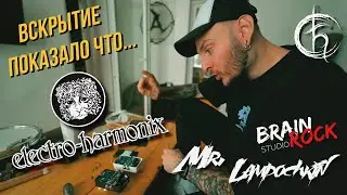 ЧТО ВНУТРИ ELECTRO-HARMONIX ? | 3 ЧАСТЬ | ОЧУМЕЛЫЕ РУЧКИ