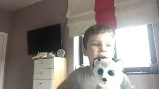 Показываю милые игрушки 🧸