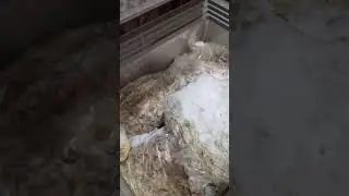 VID20210205081430