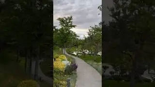 Как мне эта природа нравится ⛩️ #юмор #природа #японскийсад
