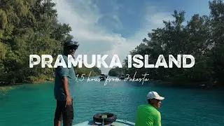 Diving Trip to Pramuka Island, Seribu Islands | May 2026