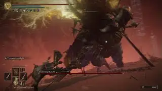 ELDEN RING my Radahn fastest kill yet