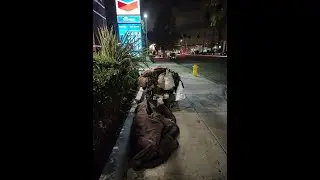Homeless in Los Angeles