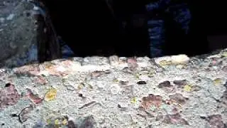 levana 90.AVI
