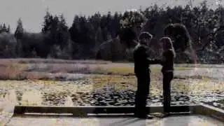 ● Sony Vegas Coloring 2 | Wings ●
