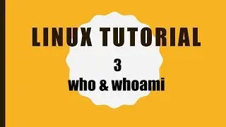 How to use who & whoami command in Linux