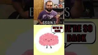 I Lied to Everyone