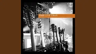 Typical Situation (Live at Classic Amphitheatre, Redmond, VA 04.30.96)
