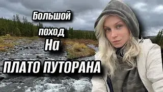 A Grand Journey to the Putorana Plateau