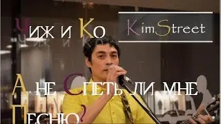 Чиж и Ко - А не спеть ли мне песню(KimStreet cover)