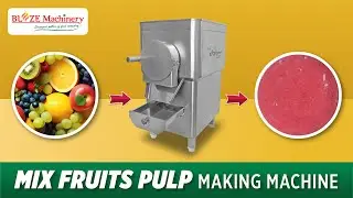 Mix Fruits Pulp Machine | Mix Fruit Juice | Mix Fruit Juice Machine | Blaze Machinery