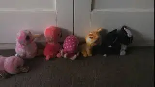 beanie boo stop motion