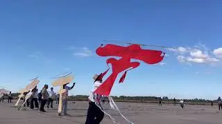 Kites FEVER Hits Angkor Wat in this traditional competition | More studio