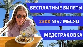 Льготы и пособия для новых репатриантов 2022