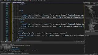60   Implementing the form reactive form binding