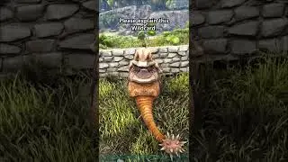 Please Explain, Wildcard... #shorts