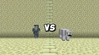 Stray vs Polar Bear - Minecraft Mob Battle