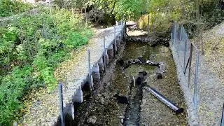 Эски Кермен. Ферма по выращиванию нутрий.