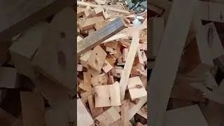 Да где ты всё это находишь?