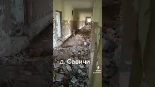 д.Савичи