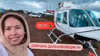 ДЕВУШКА ДАЛЬНОБОЙЩИК. ГРУЗ ИЗ ЖИВЫХ ЕЛОК НА НОВЫЙ ГОД