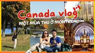 🍁NHỮNG NGÀY Ở CANADA - TẬP 2: PICNIC TRÊN NGỌN ĐỒI ĐẸP NHẤT MONTRÉAL, REVIEW CÁC NHÀ HÀNG SIÊU HOT