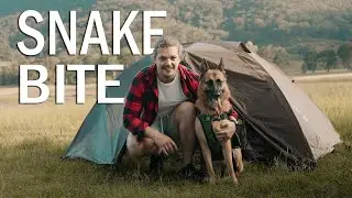 Don't let your dog die | SOLO CAMPING with my German Shepherd in Wiradjuri Country | @Hipcamp