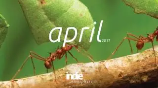 ANT Playlist // Indie/Pop/Folk Compilation // APRIL 2017